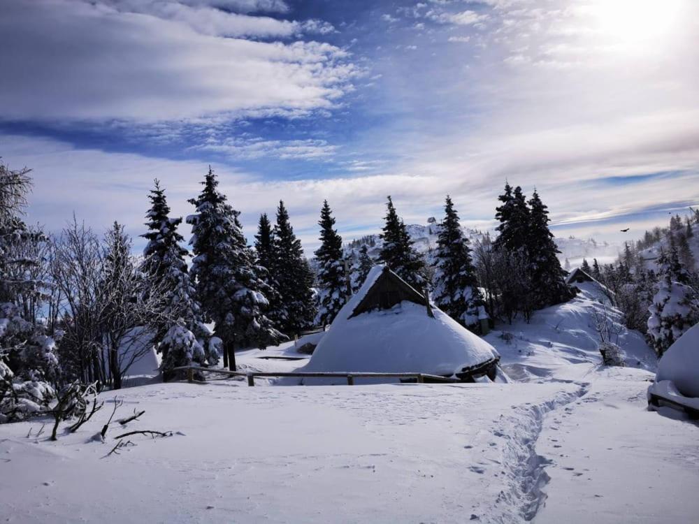 Chalet Resa - Velika Planina Стаховица Экстерьер фото