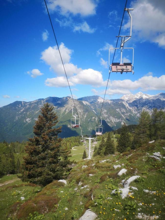 Chalet Resa - Velika Planina Стаховица Экстерьер фото